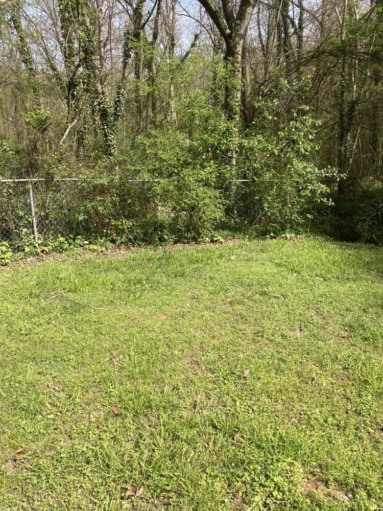 Professional yard maintenance experts serving Birmingham, AL - F&S Detail