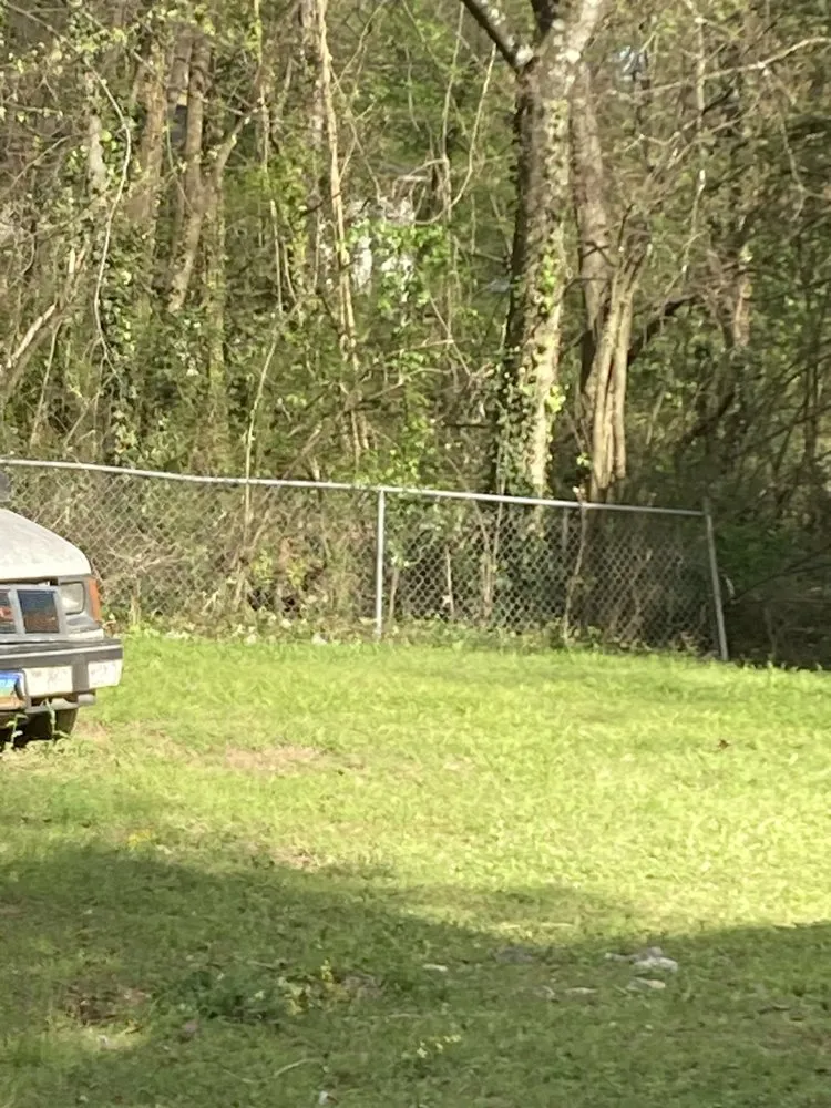 Affordable yard cleanup service in Birmingham, AL - F&S Detail