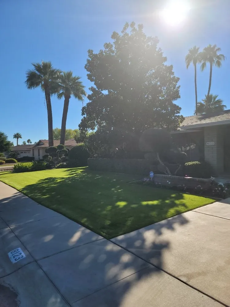 Custom garden landscaping with custom design across Glendale, AZ - F&S landscape