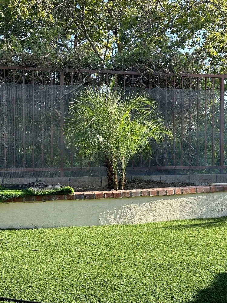 Expert lawn care service in Los Angeles, CA - FS Landscaping & Gardening