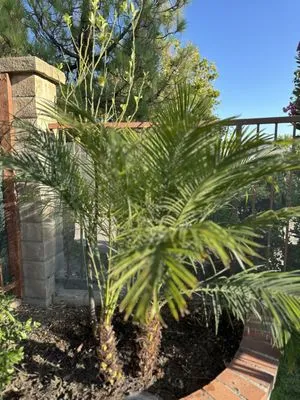 FS Landscaping & Gardening Logo