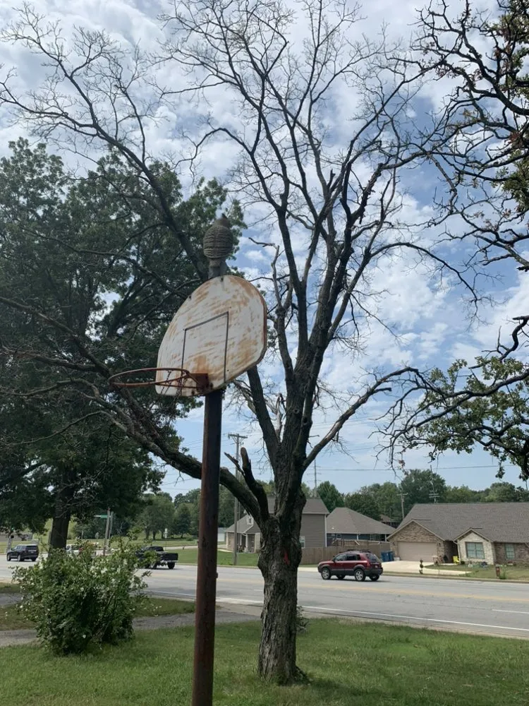 Local landscaping services near you in Joplin, MO by F&S Landscaping & Home Repairs