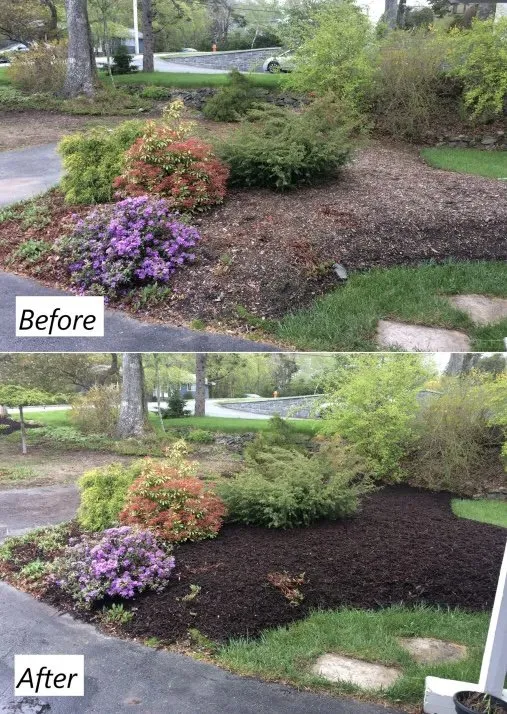 Expert landscape design for homes across Joplin, MO - F&S Landscaping & Home Repairs