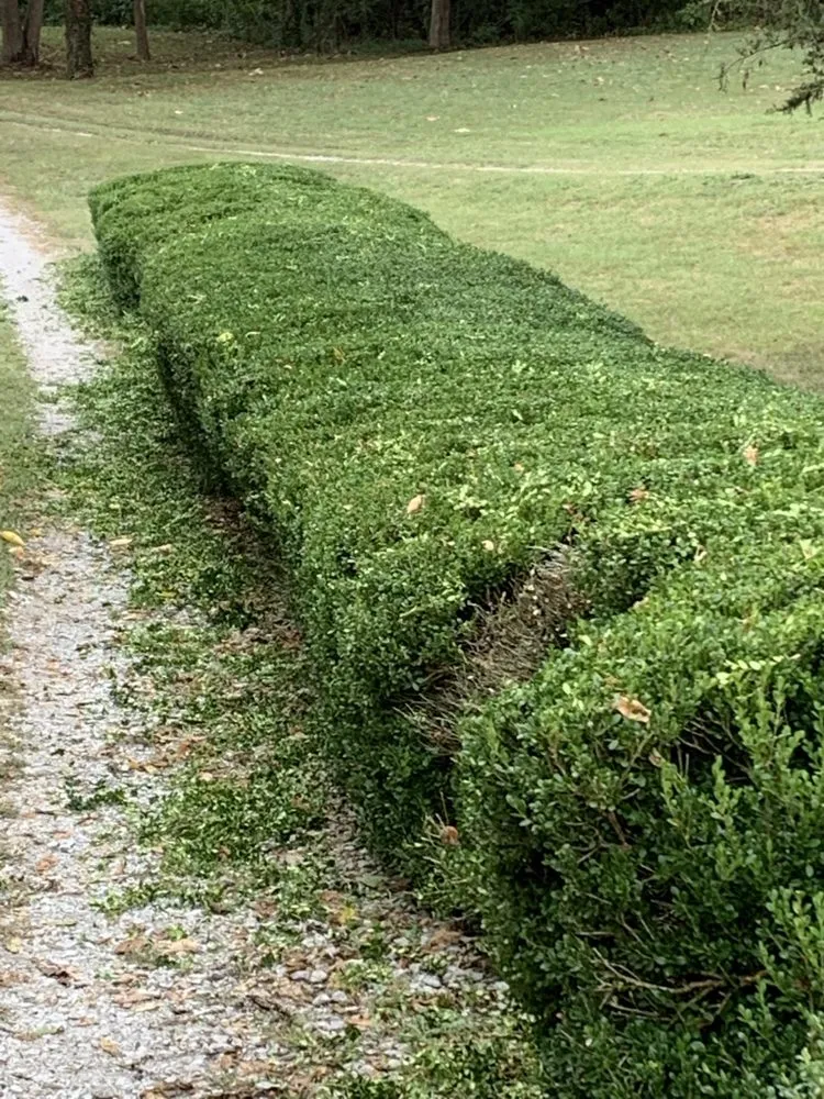 Professional yard maintenance in Joplin, MO by F&S Landscaping & Home Repairs