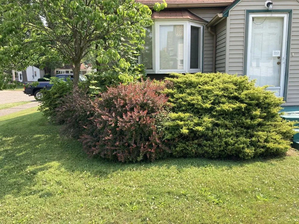 Custom lawn mowing service for year-round maintenance across Niles, OH - F&S Landscaping