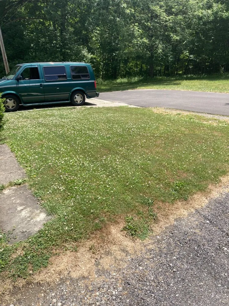 Reliable yard cleanup service in Niles, OH - F&S Landscaping