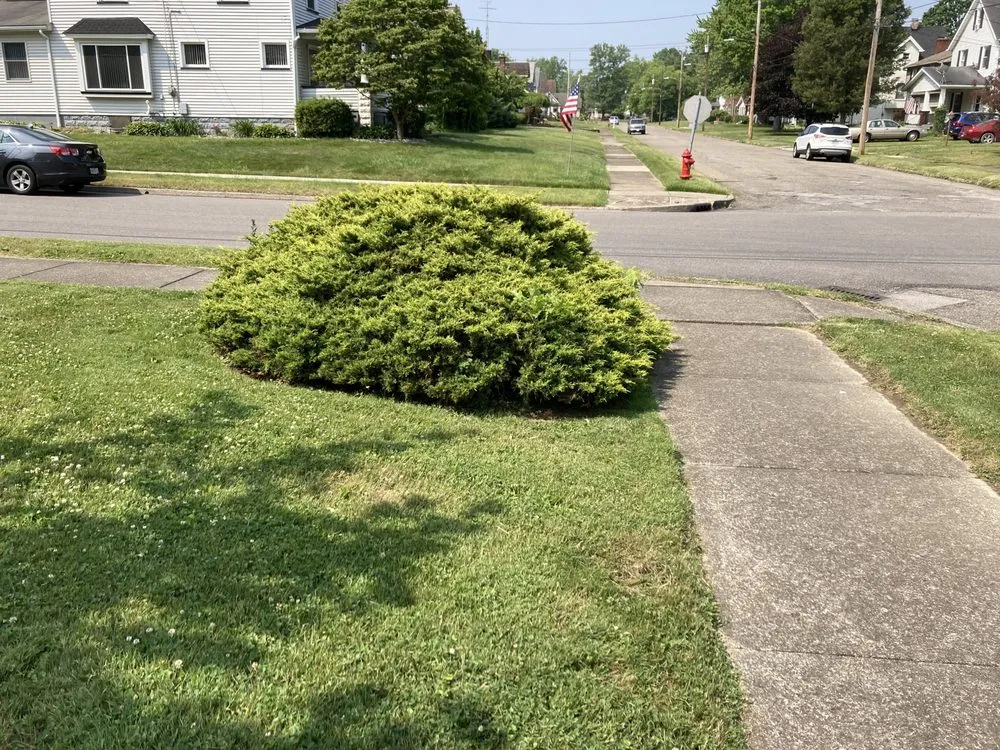 Top-rated landscaping services in Niles, OH by F&S Landscaping