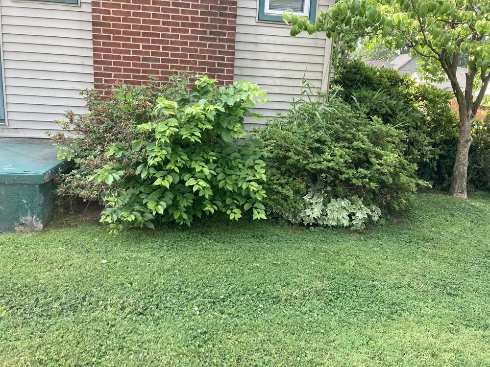 Affordable landscaping services in Niles, OH by F&S Landscaping