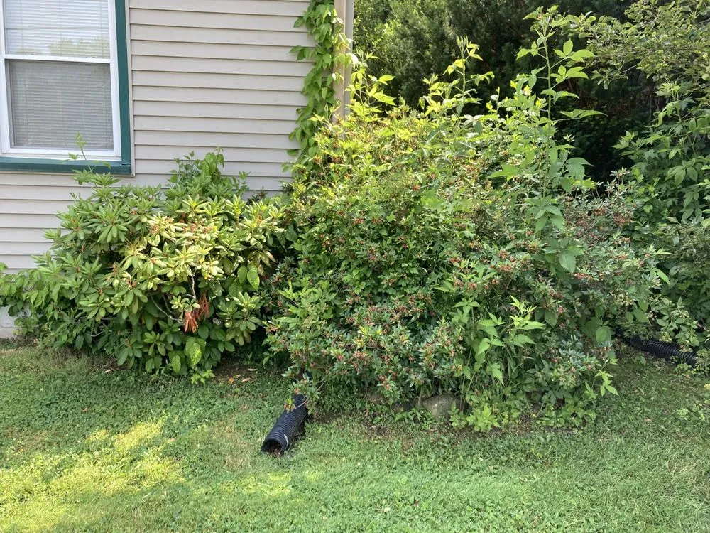 Affordable landscape installation for beautiful yards across Niles, OH - F&S Landscaping