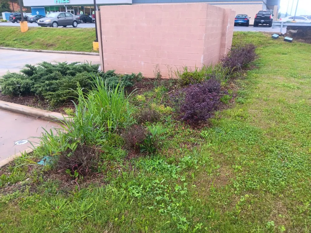 Trusted lawn care service experts serving Evensville, TN - F&S Lawn Care