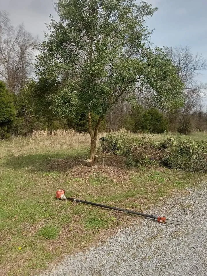 Professional landscape design experts serving Evensville, TN - F&S Lawn Care