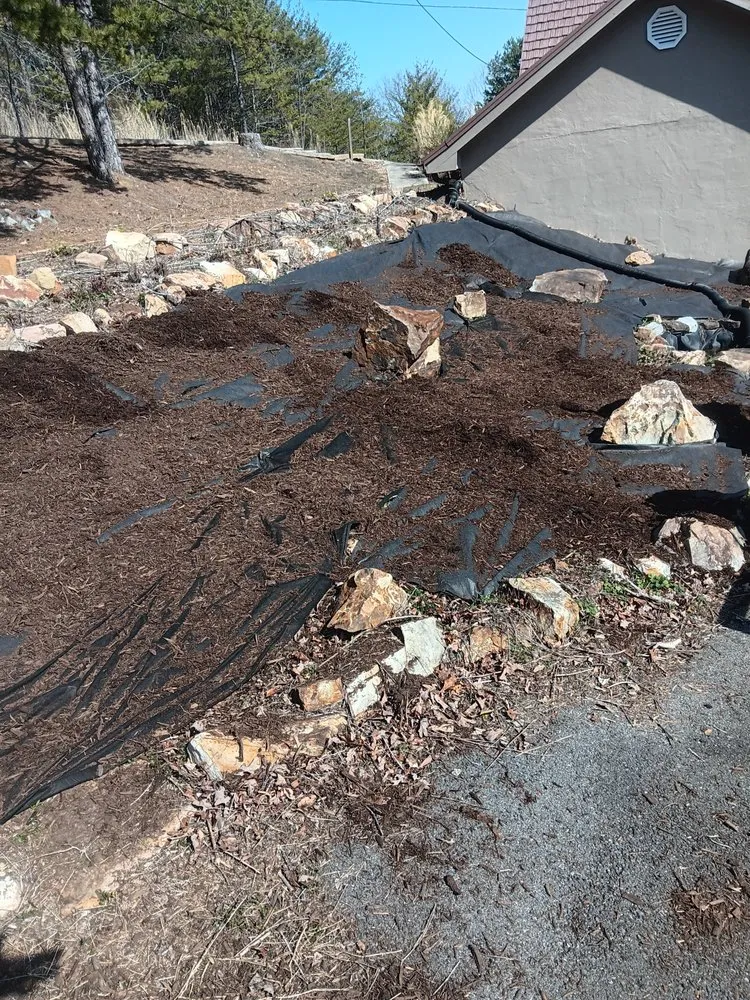 Affordable landscaping services in Evensville, TN - F&S Lawn Care