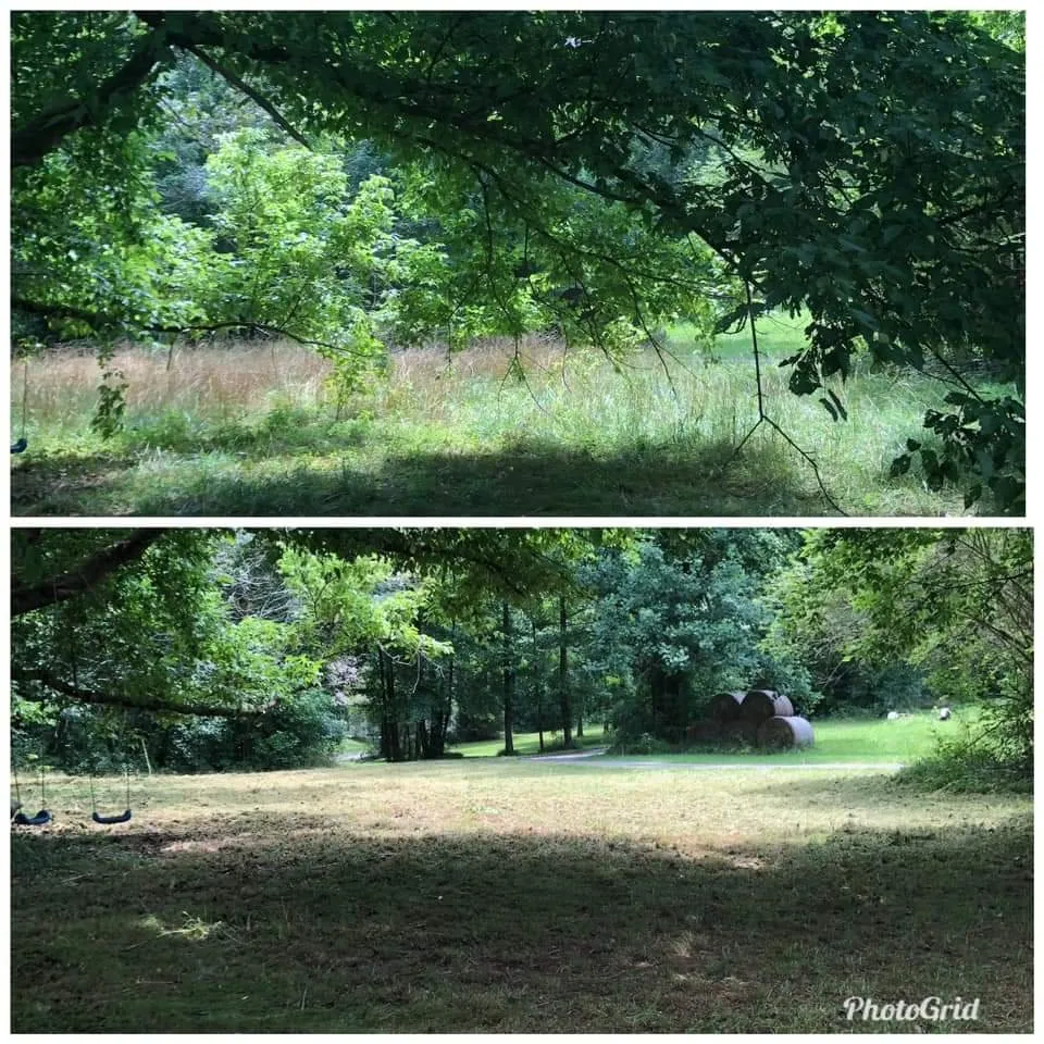 Trusted landscape design in Jefferson, GA by F&S Lawncare