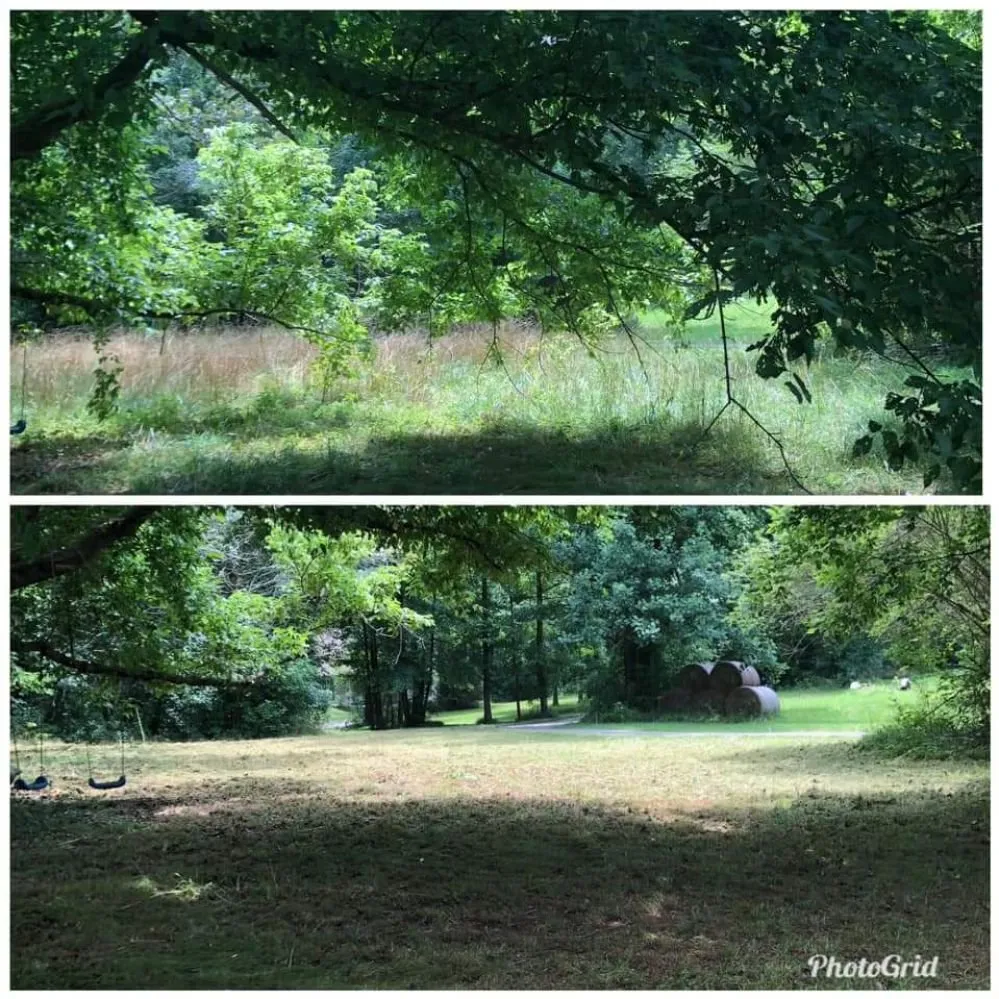 Affordable landscaping services experts serving Jefferson, GA - F&S Lawncare