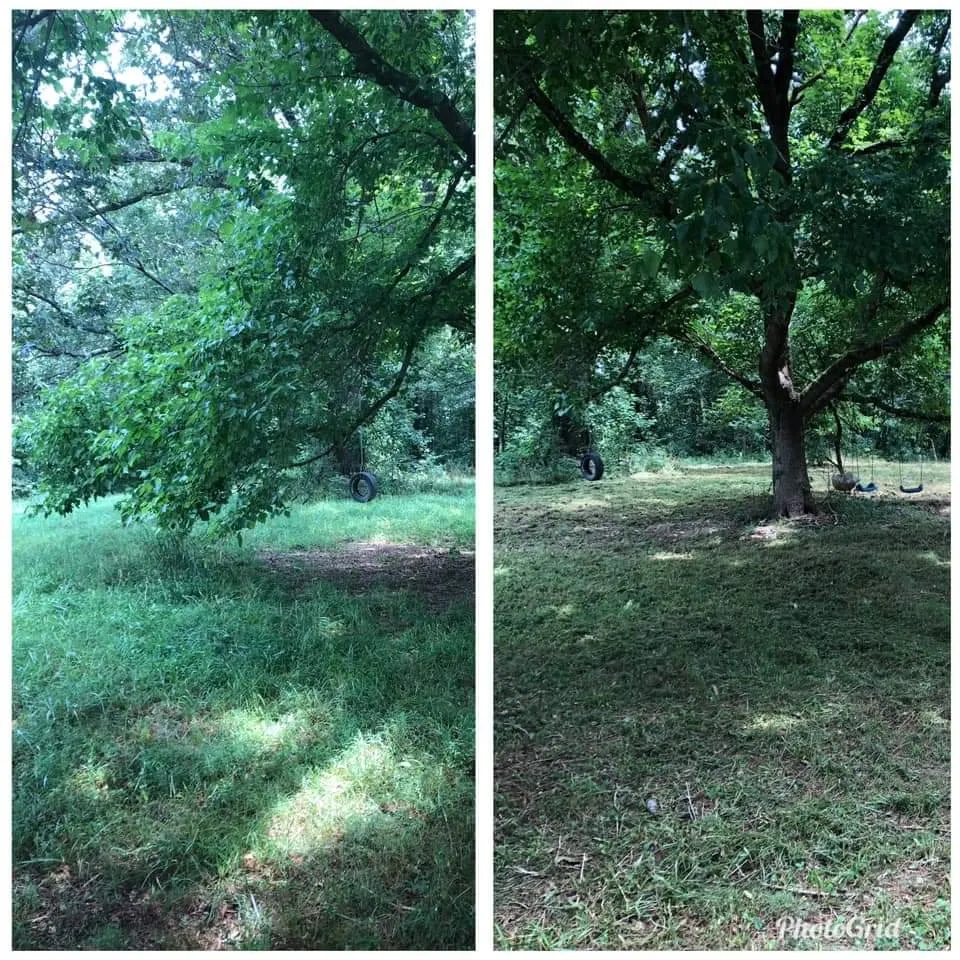 Custom landscaping services for outdoor upgrades across Jefferson, GA - F&S Lawncare