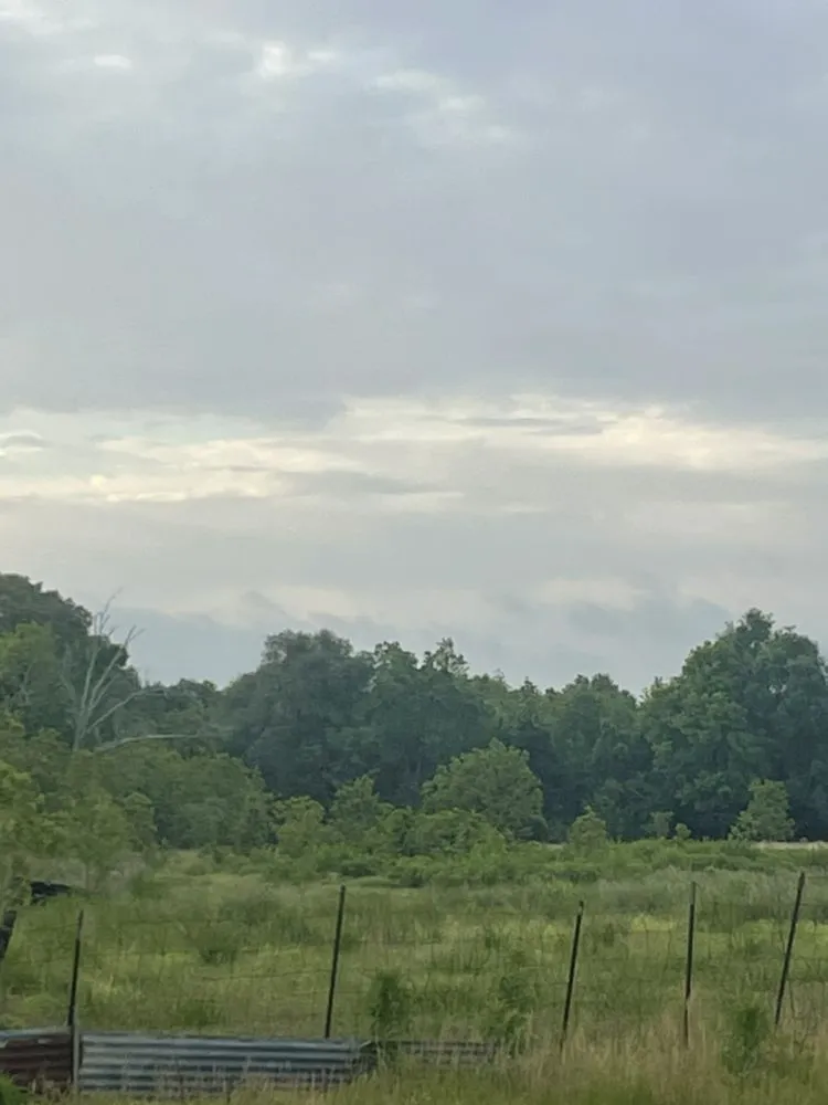 Reliable landscaping services in Youngsville, LA - F&S Quality Services