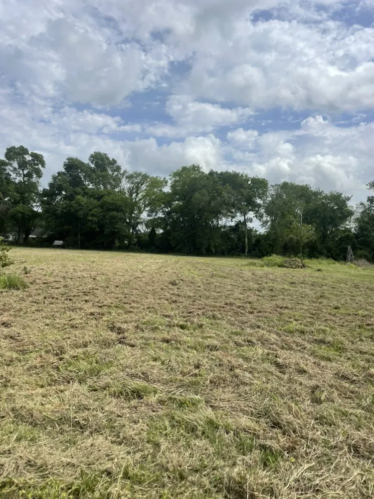 Reliable landscape installation with custom design across Youngsville, LA - F&S Quality Services