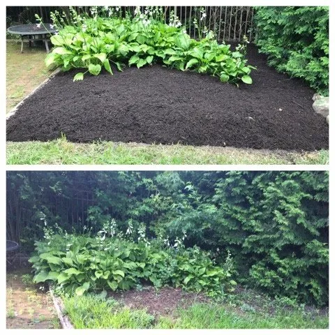 Local garden landscaping with custom design across Huntingdon Valley, PA - FSC Lawn Care
