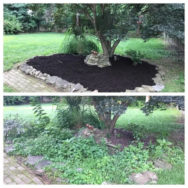 Local landscape installation in Huntingdon Valley, PA - FSC Lawn Care