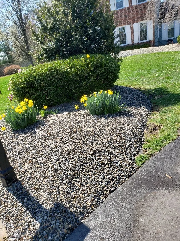 Trusted landscape installation for homes across Huntingdon Valley, PA - FSC Lawn Care