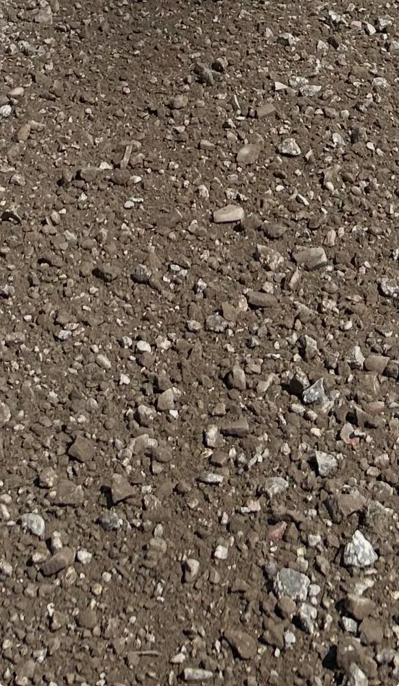 Reliable yard maintenance in Altamonte Springs, FL - FSF Truck Services