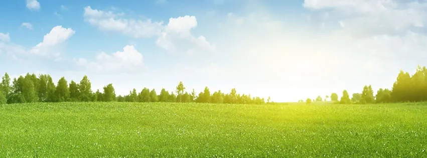 Reliable residential landscaping for residential properties in Norton, MA by Fsm Landscaping