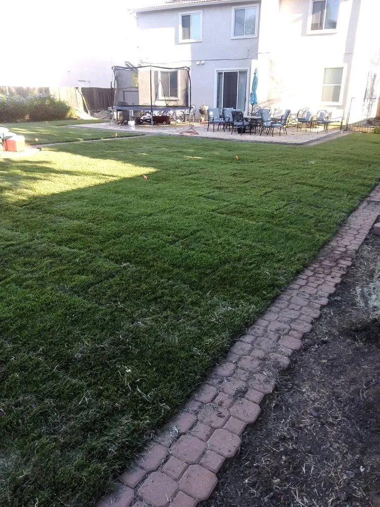 Trusted lawn care service in Antioch, CA - F&T Concrete and Landscaping