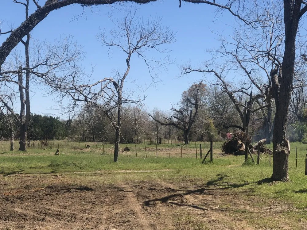 Custom lawn mowing service near you in Valdosta, GA by F&T Landscape and Forestry