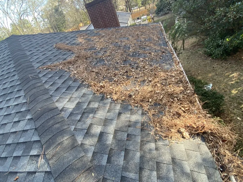 Top-rated residential landscaping with custom design across Carrollton, GA - FT Landscape