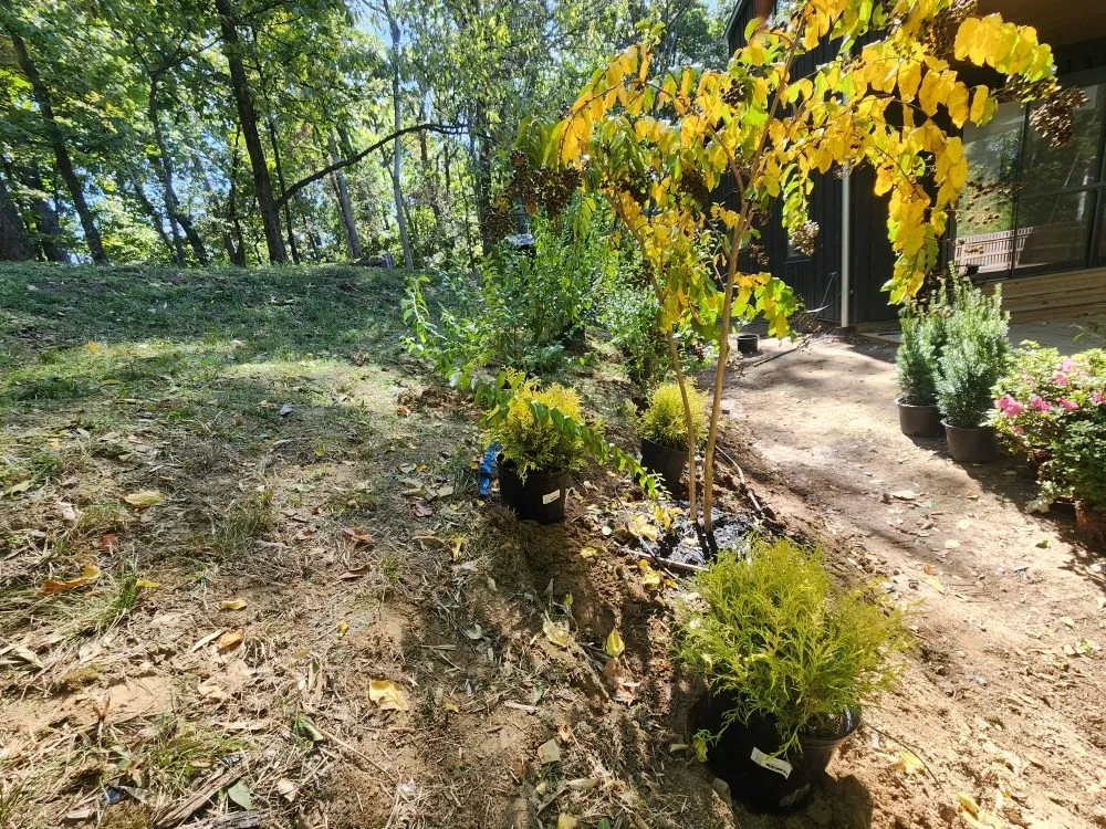 Trusted yard maintenance in Nashville, TN by F&T Landscaping