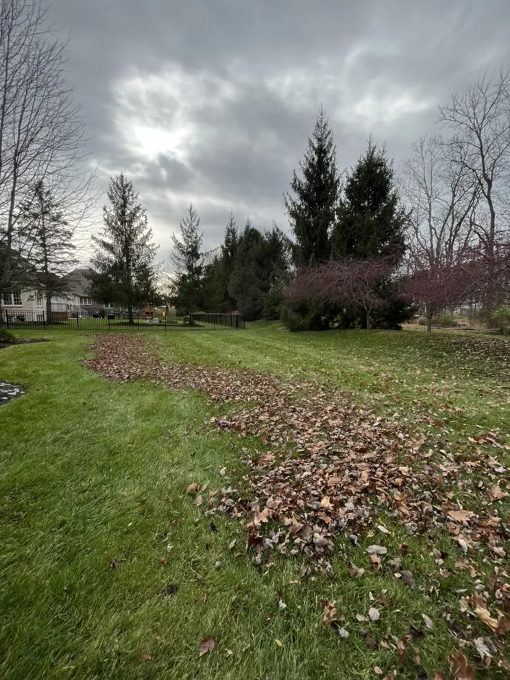 Expert yard cleanup service in Indianapolis, IN - F.T.C Landscaping