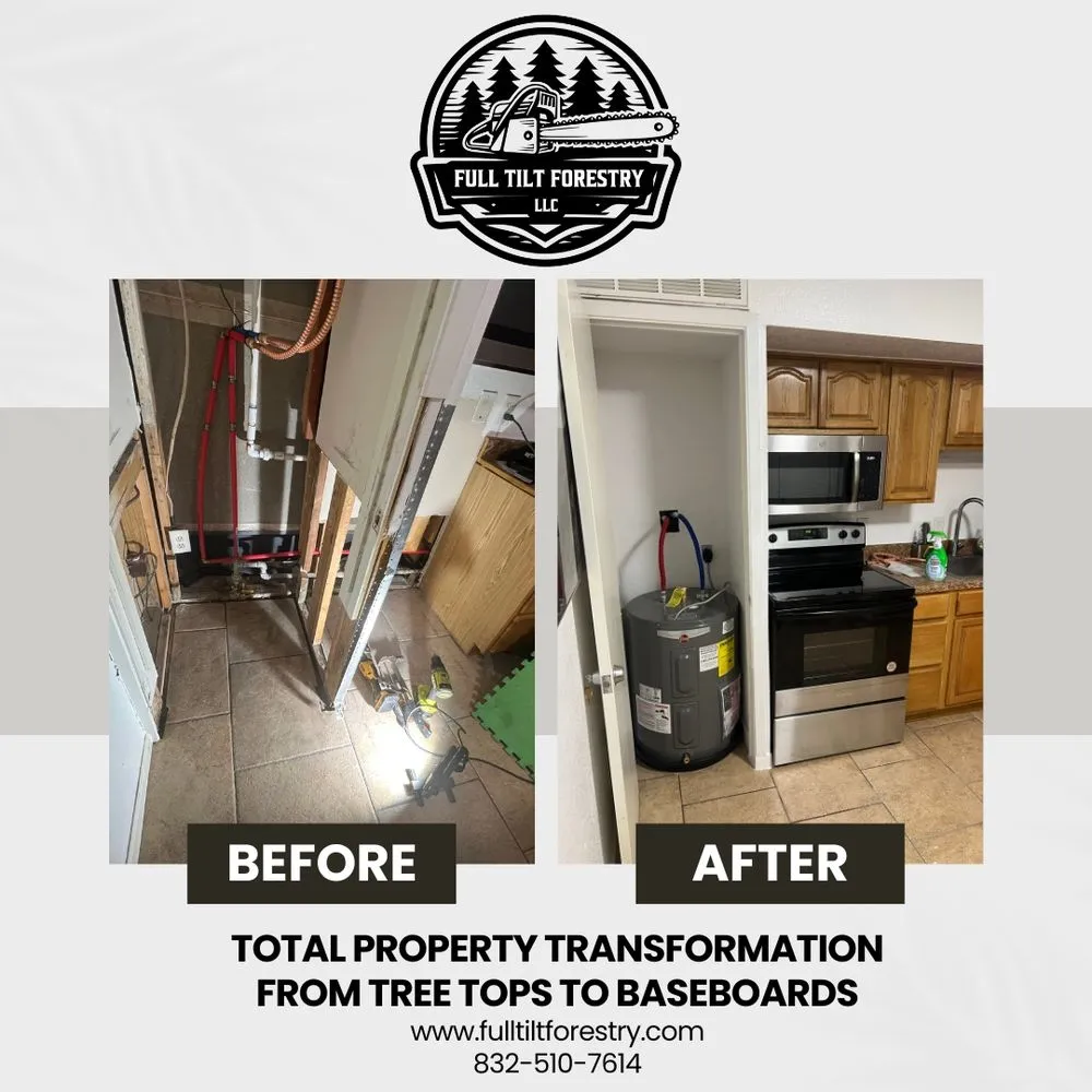 Affordable landscaping services for beautiful yards in Humble, TX by FTF Home Solutions