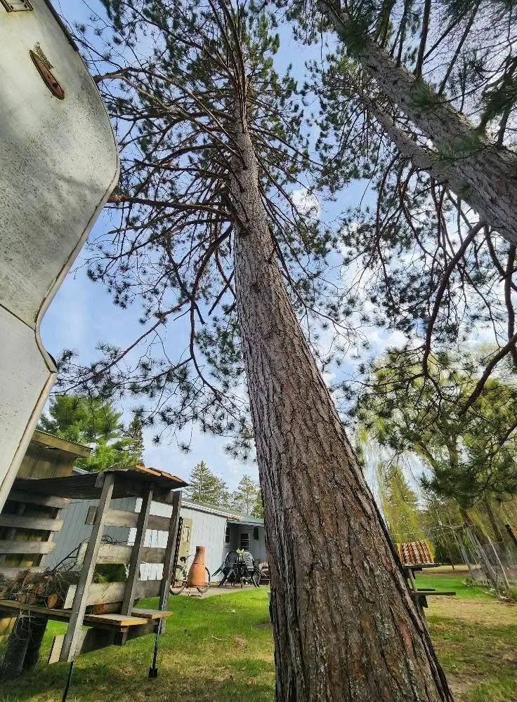 Top-rated landscaping services experts serving Humble, TX - FTF Home Solutions