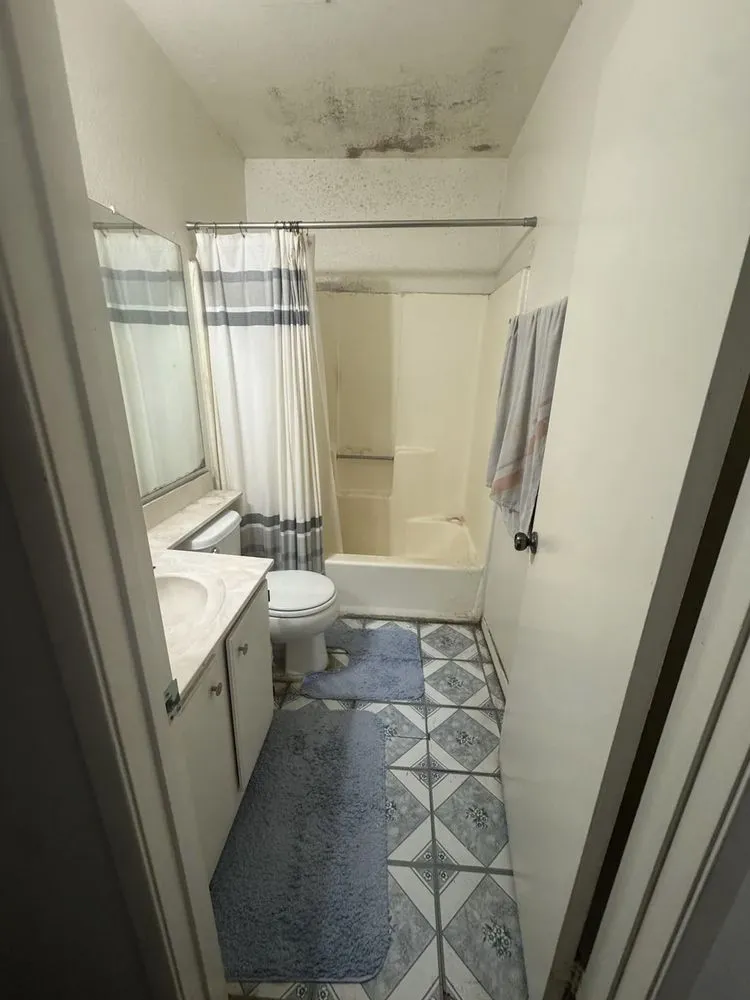 Affordable landscape installation for outdoor upgrades in Humble, TX by FTF Home Solutions