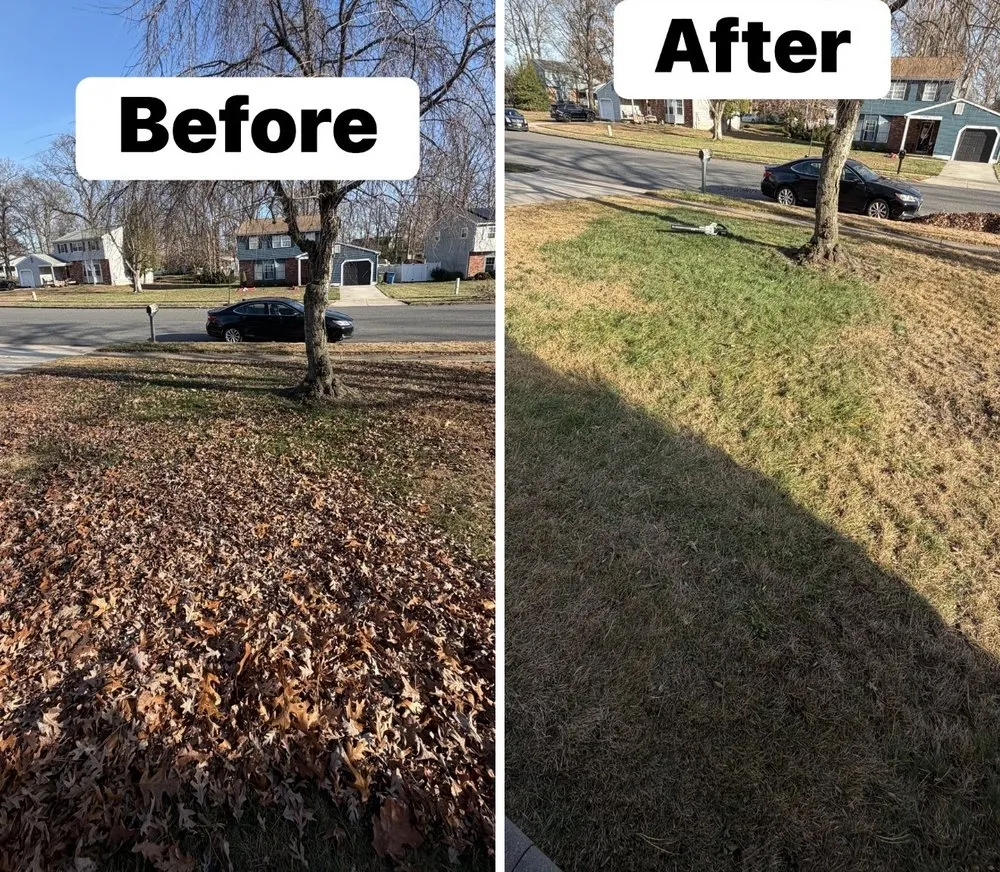 Custom landscape installation for homes in Woodbridge, NJ by FTF Prosper Pressure Washing