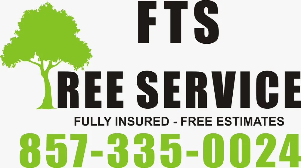Professional yard cleanup service experts serving Quincy, MA - Fts Tree Service