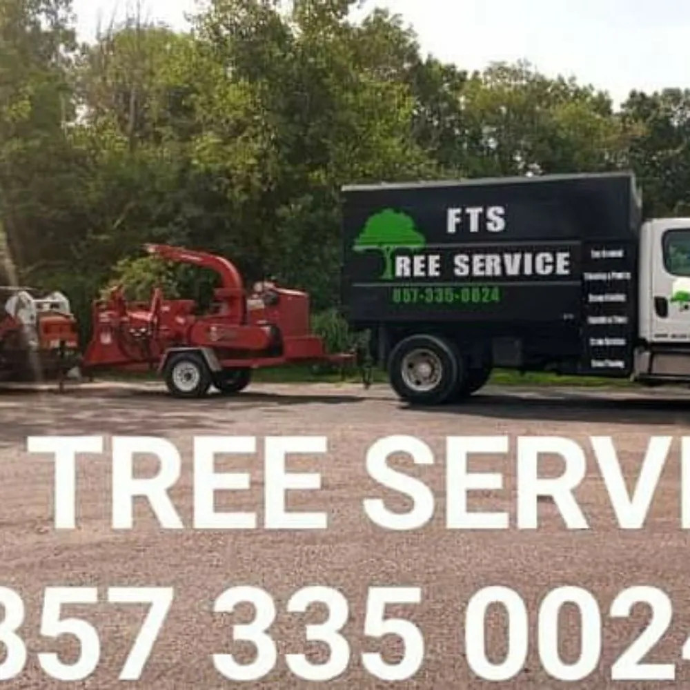 Top-rated yard cleanup service near you in Quincy, MA by Fts Tree Service