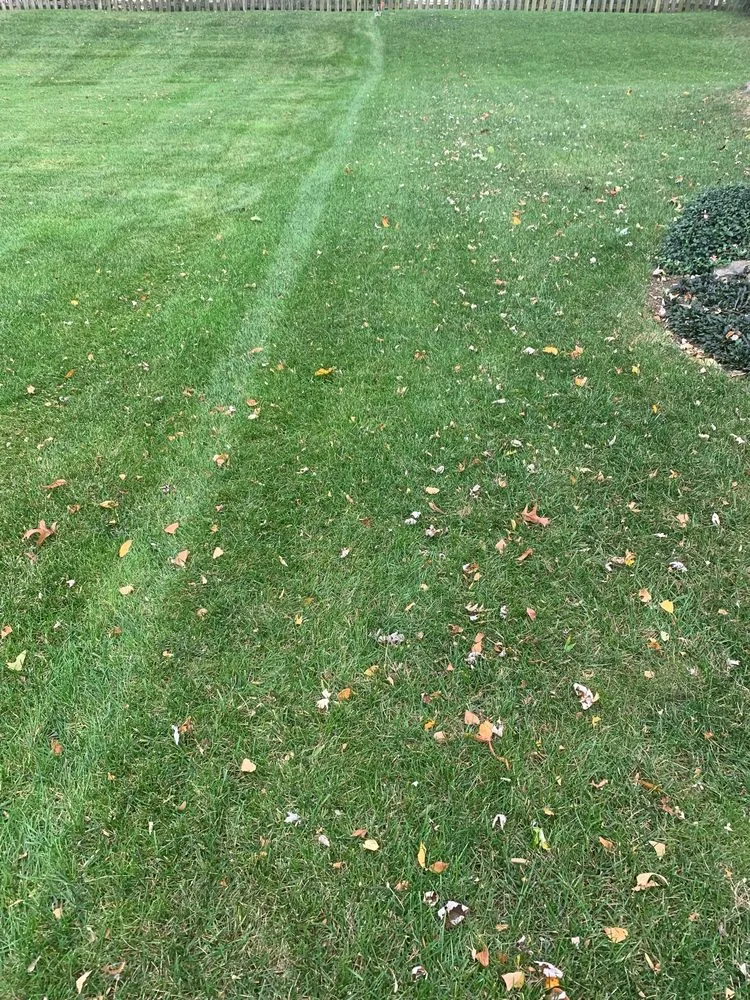 Trusted landscape installation in Saint Charles, MO - Fuchs Lawn & Landscaping