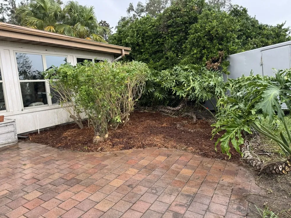 Affordable landscaping services for outdoor upgrades across Riverview, FL - Fuenmayor Service