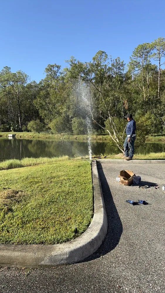 Professional yard maintenance in Riverview, FL - Fuenmayor Service