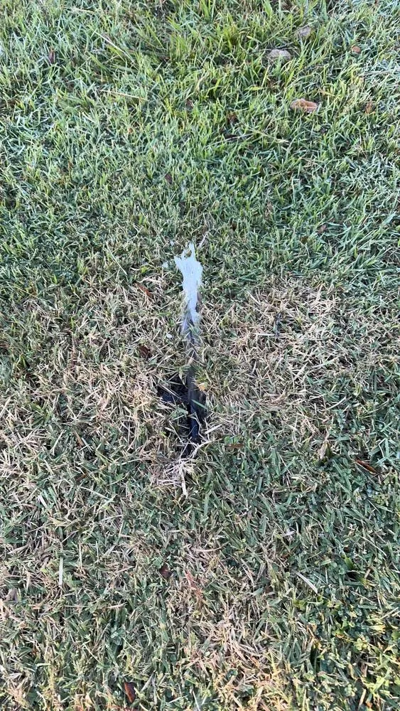 Trusted landscaping services in Riverview, FL by Fuenmayor Service