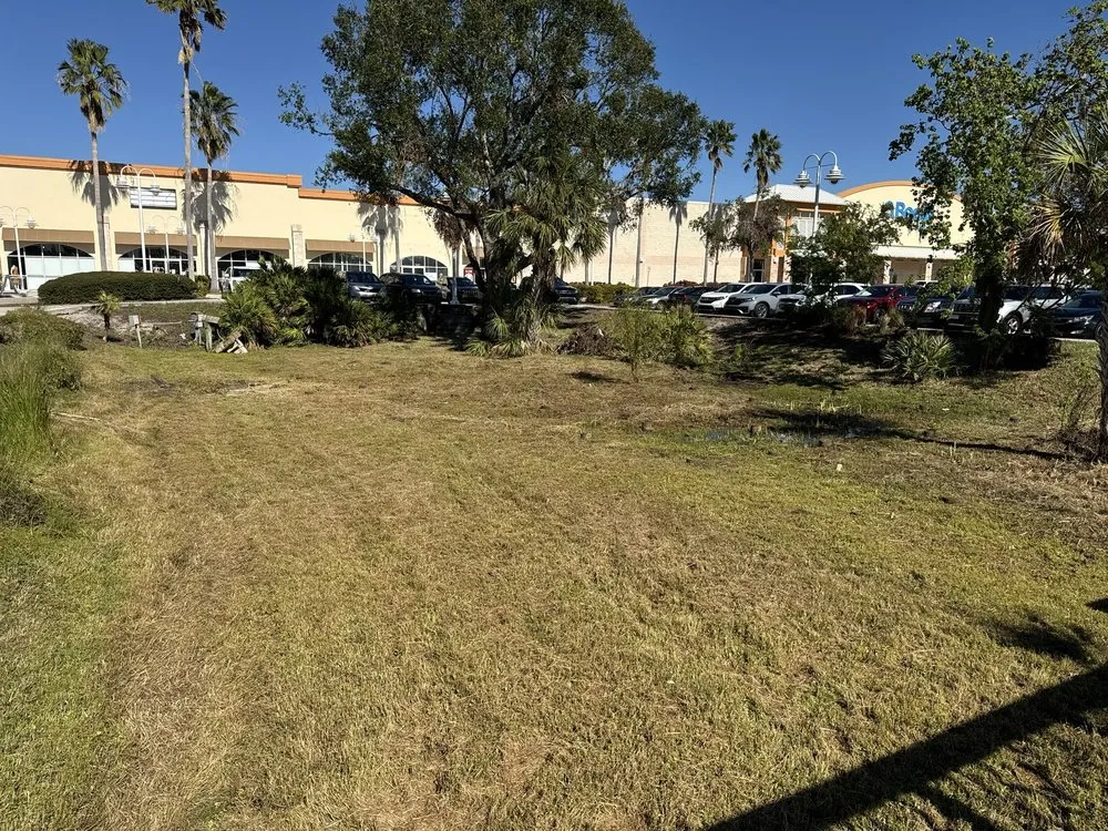 Top-rated yard cleanup service near you across Riverview, FL - Fuenmayor Service