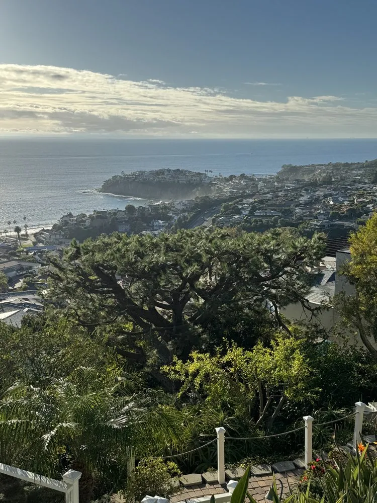Reliable lawn care service for beautiful yards in Oceanside, CA by Fuentes and Sons Landscaping