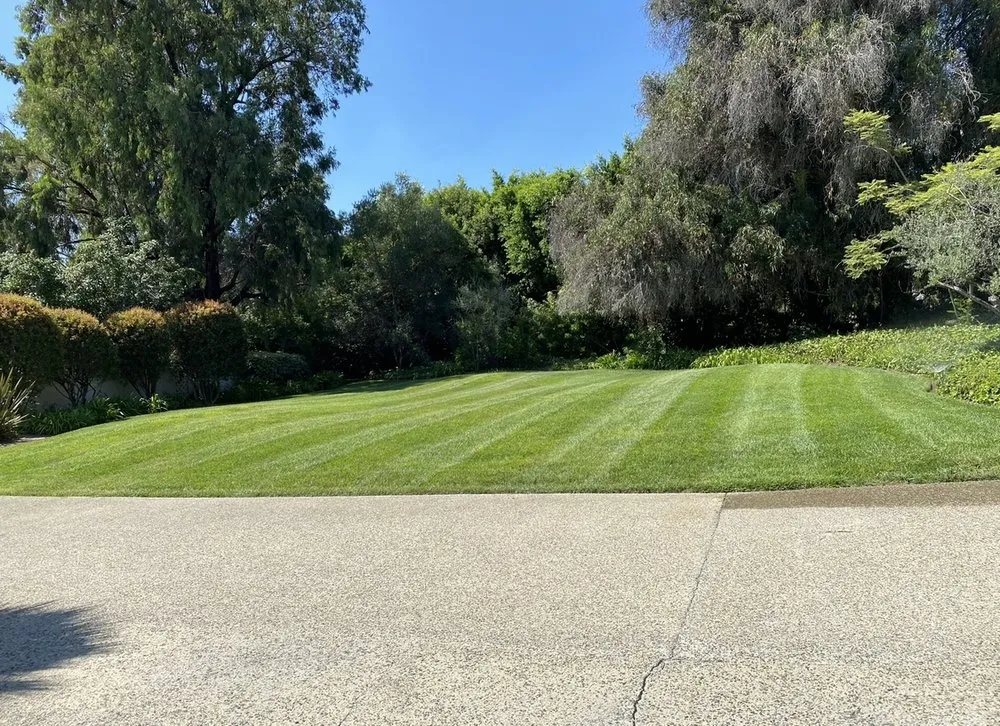 Top-rated garden landscaping experts serving Oceanside, CA - Fuentes and Sons Landscaping