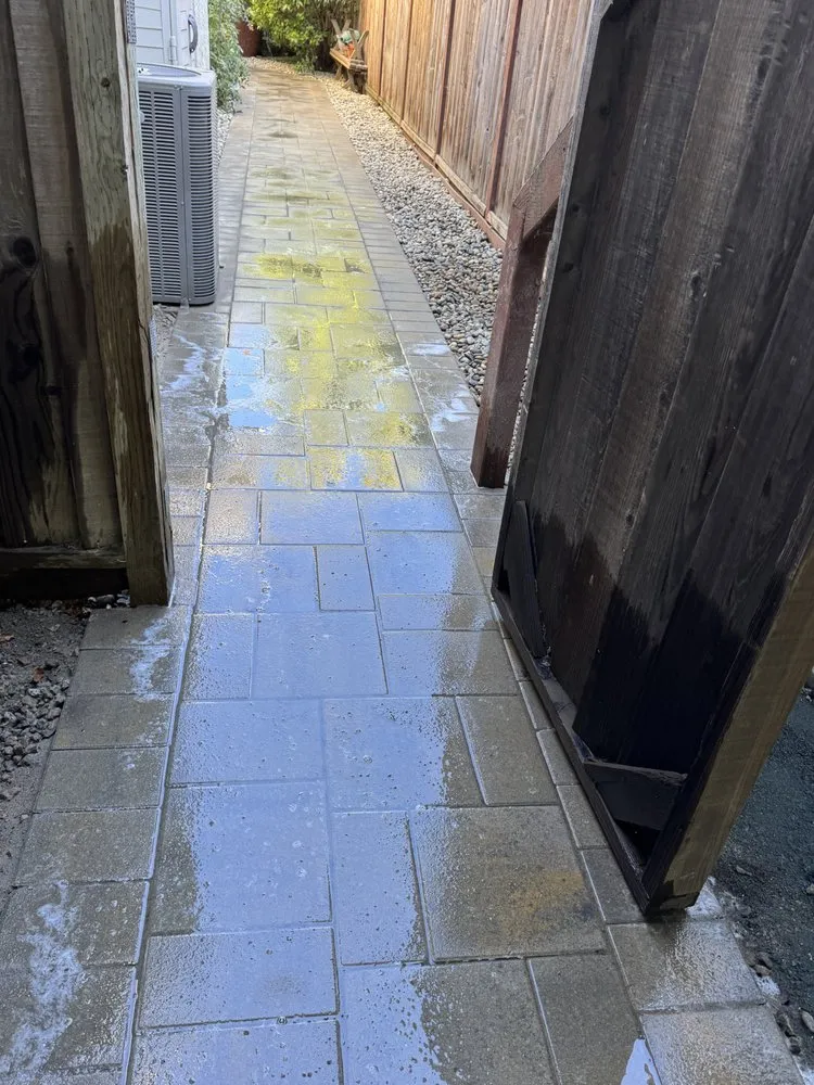 Local landscaping services in San Mateo, CA by Fuentes Construction & Landscaping