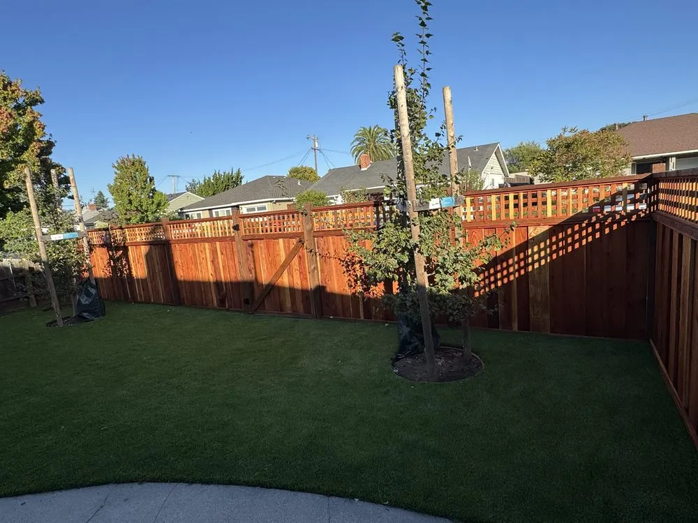 Top-rated yard cleanup service in San Mateo, CA - Fuentes Construction & Landscaping