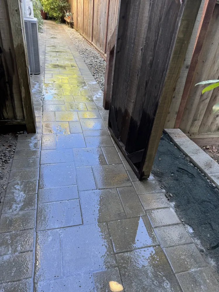 Custom lawn care service in San Mateo, CA - Fuentes Construction & Landscaping