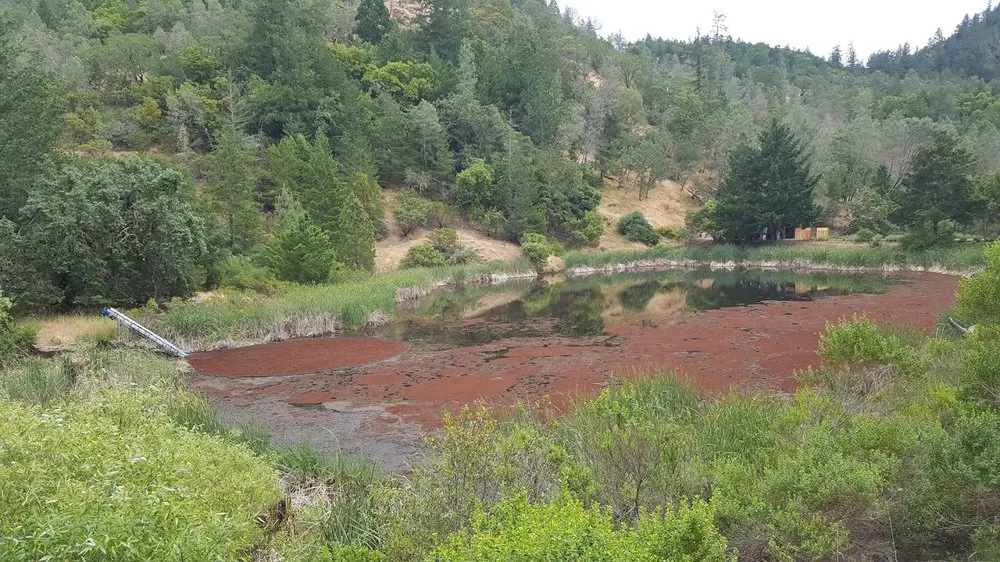 Affordable landscape design in Grass Valley, CA by Fuentes Lake & Pond