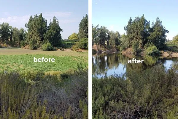 Expert landscape installation with custom design across Grass Valley, CA - Fuentes Lake & Pond