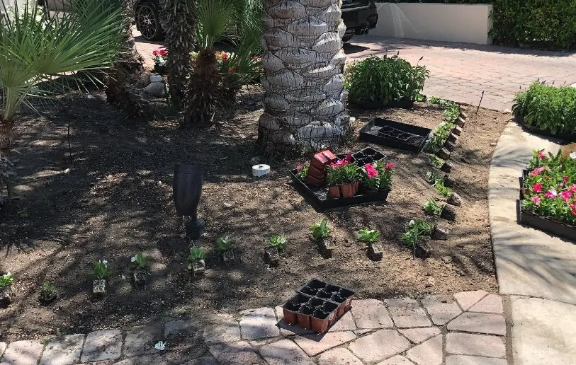 Top-rated garden landscaping experts serving Cathedral City, CA - Fuentes Landcure